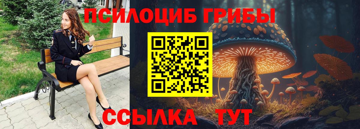 Галлюциногенные грибы Psilocybine cubensis Сатка